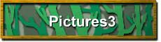 Pictures3