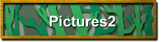 Pictures2