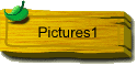 Pictures1